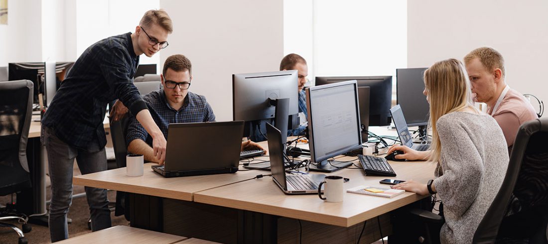 Software and services project team